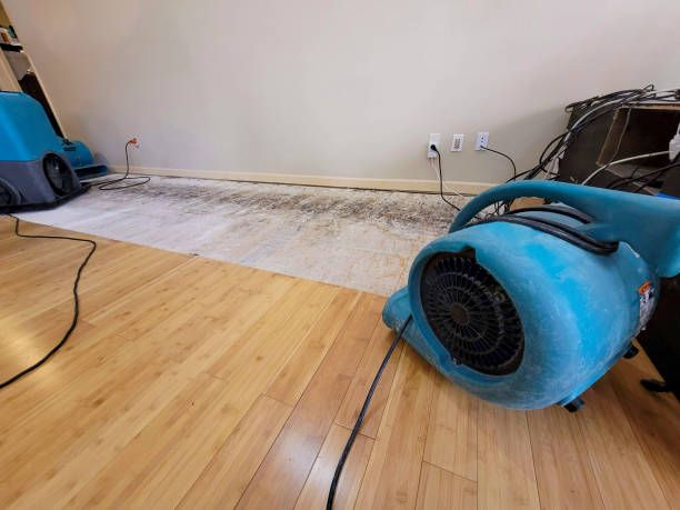 Professional Water Damage Repair technician working in Grant, FL